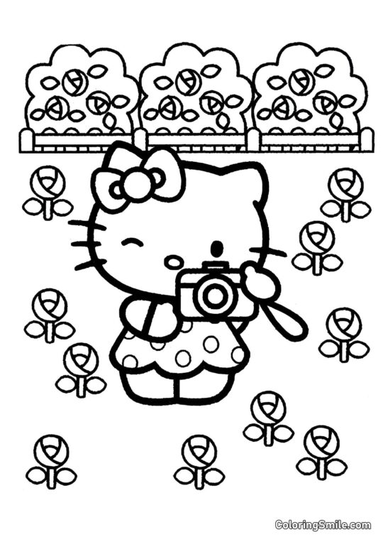 Hello Kitty com uma Câmera - Página para Colorir