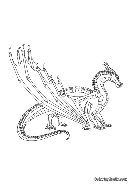 Dragão Preto - Página para Colorir