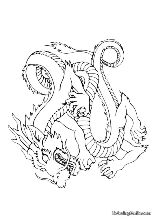 Dragão Atacante - Página para Colorir