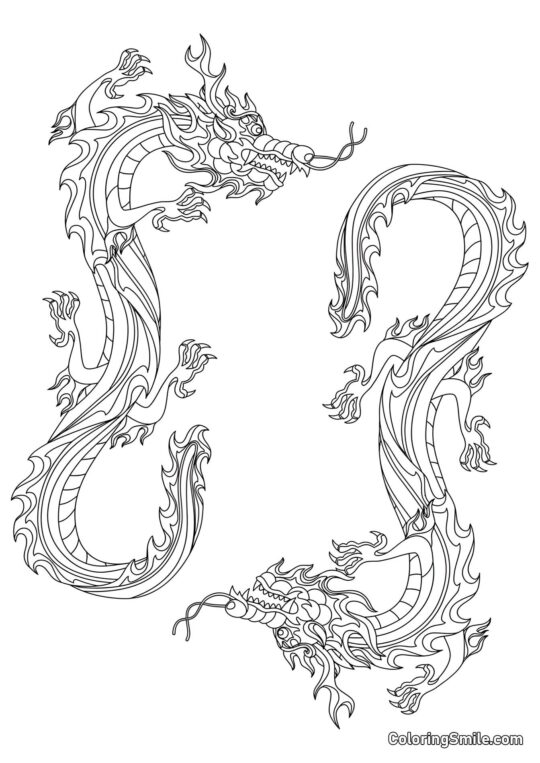 Dragões de Fogo - Página para Colorir