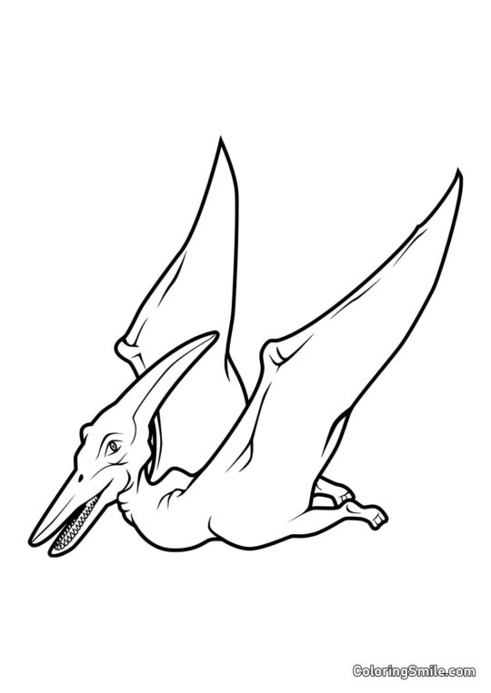 Pteranodon Pteranodon - Página para Colorir