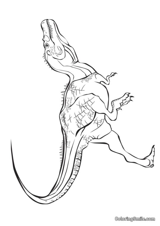 Tiranossauro Tiranossauro - Página para Colorir