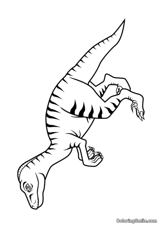 Velociraptor Velociraptor - Página para Colorir