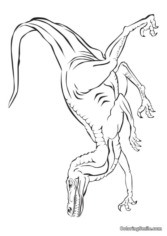 Velociraptor em Caça Velociraptor em Caça - Página para Colorir