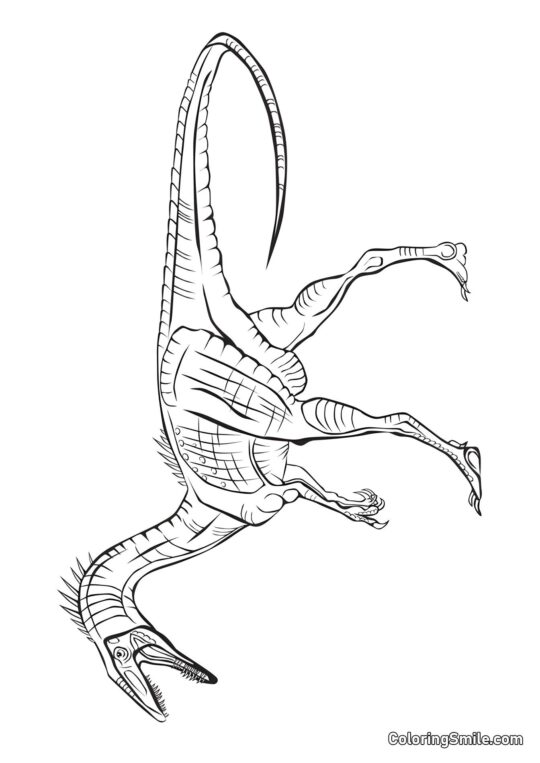 Coelophysis Coelophysis - Página para Colorir