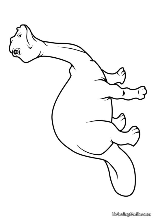 Brontossauro Brontossauro - Página para Colorir