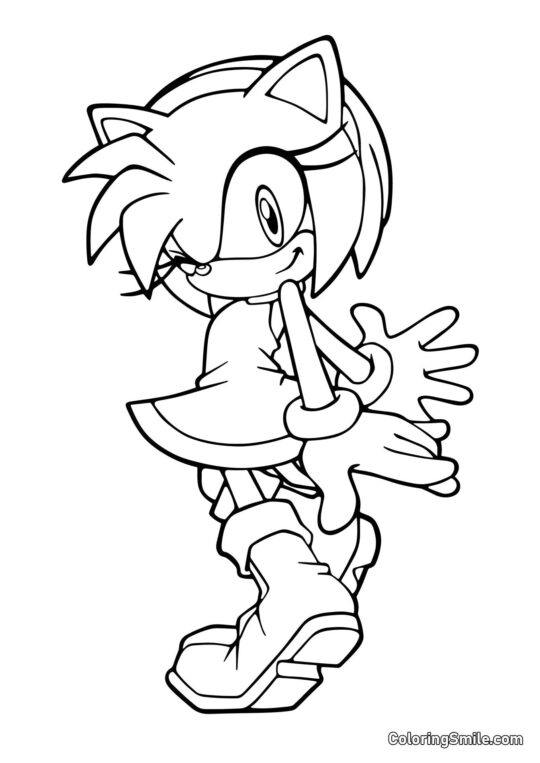 Rosa do Sonic - Página para Colorir