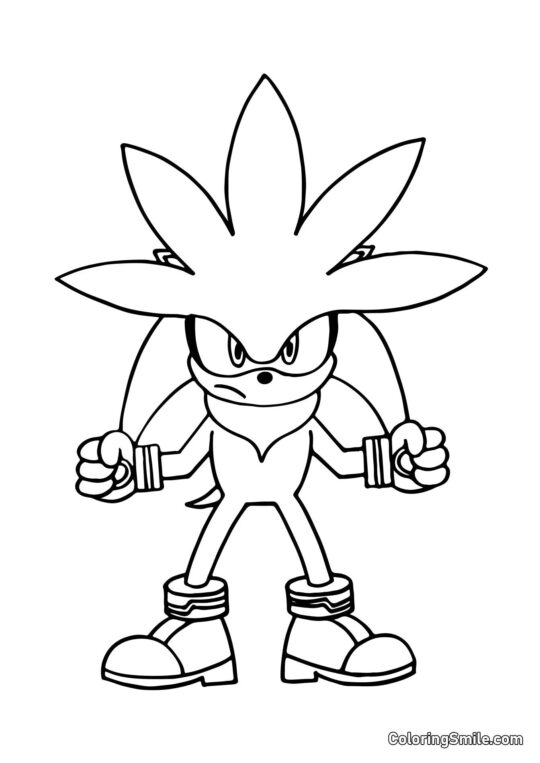 Ouriço Silver - Página para Colorir