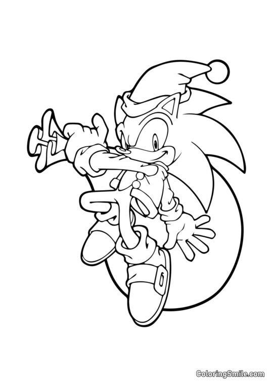 Sonic Ano Novo - Página para Colorir