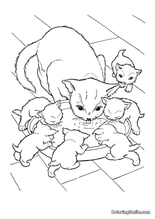 Gato e Seis Filhotes - Página para Colorir