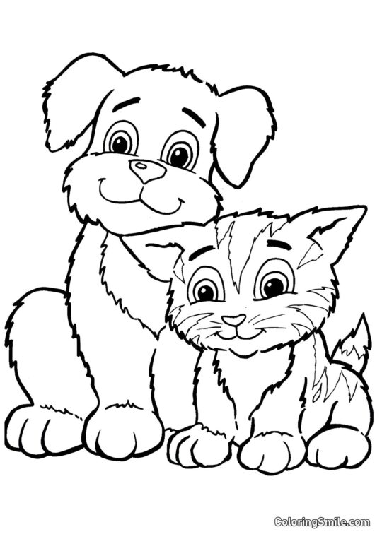 Gato e Cachorro - Página para Colorir