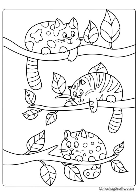Gatos Engraçados - Página para Colorir