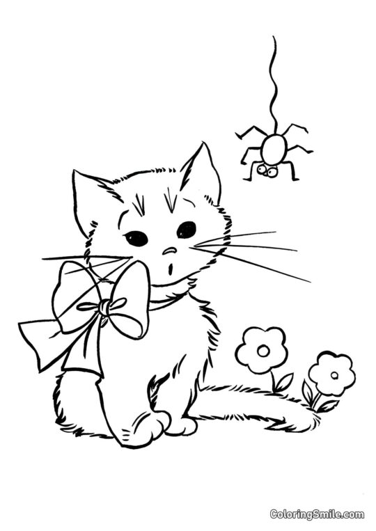 Filhote e Aranha - Página para Colorir