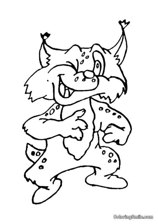 Gato Bandido - Página para Colorir