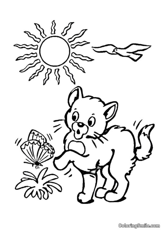 Gato e Borboleta - Página para Colorir