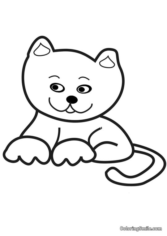 Gato Sorrateiro - Página para Colorir