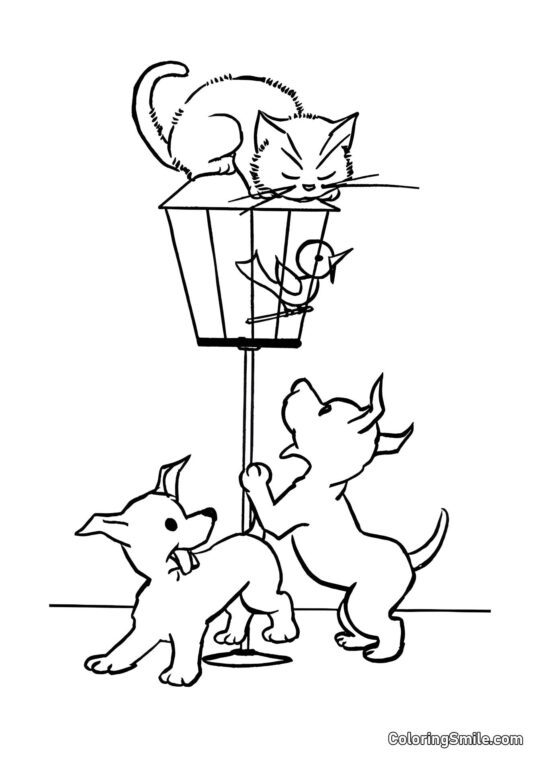 Gato e Cachorros Brincando - Página para Colorir