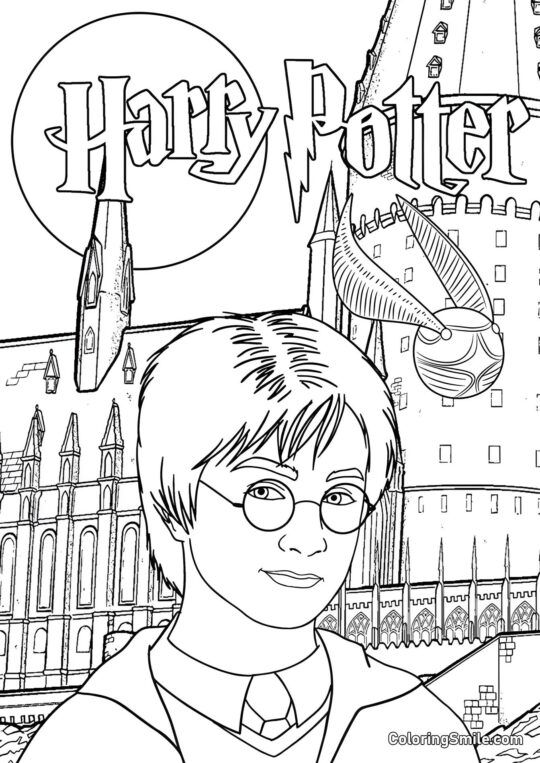 Harry Potter contra o fundo do castelo Harry Potter contra o fundo do castelo - Página para Colorir