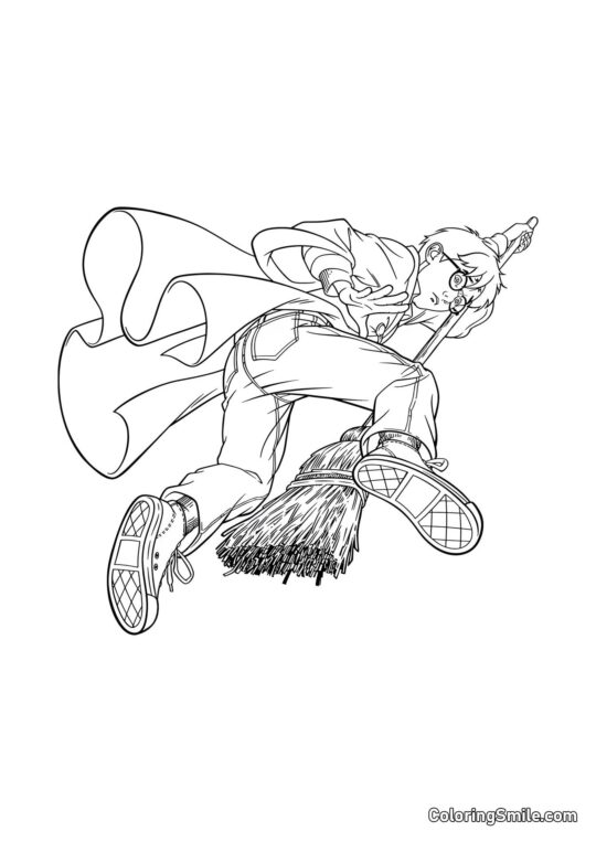 Harry de desenho animado em uma vassoura Harry de desenho animado em uma vassoura - Página para Colorir