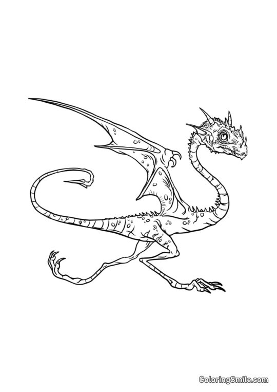 Norbert – o dragão do Hagrid Norbert – o dragão do Hagrid - Página para Colorir