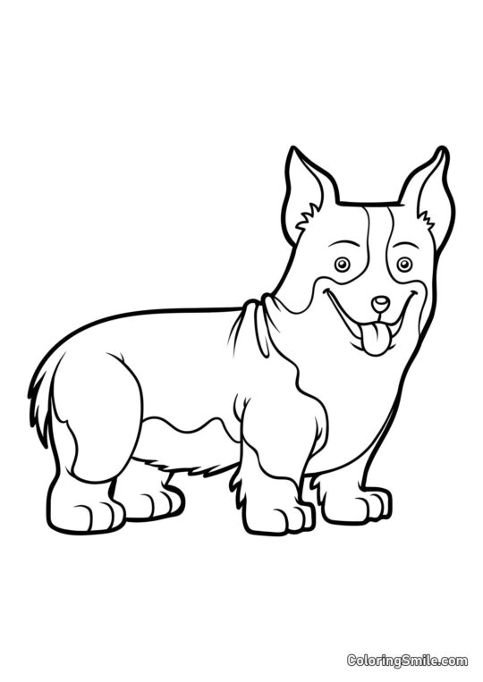 Corgi - Página para Colorir