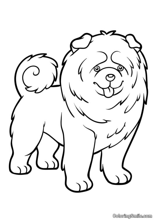 Chow Chow - Página para Colorir