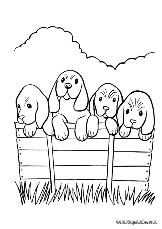 Quatro cachorros - Página para Colorir