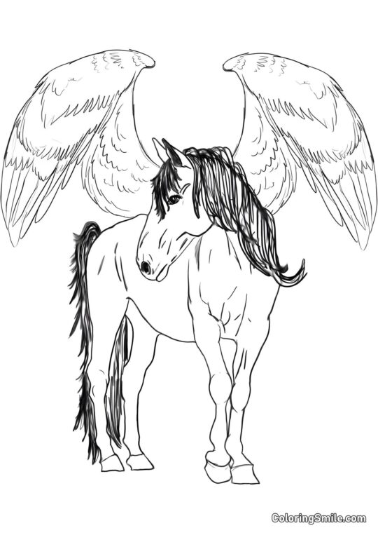 Pégaso alado - Página para Colorir