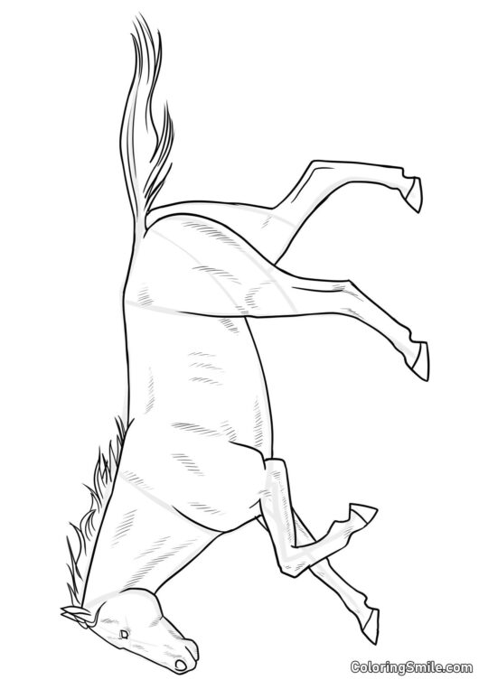 Cavalo gracioso - Página para Colorir