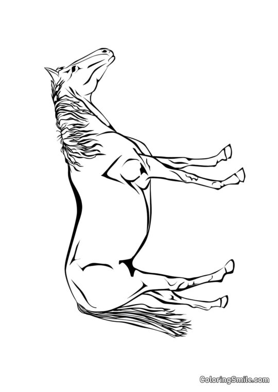 Cavalo requintado - Página para Colorir