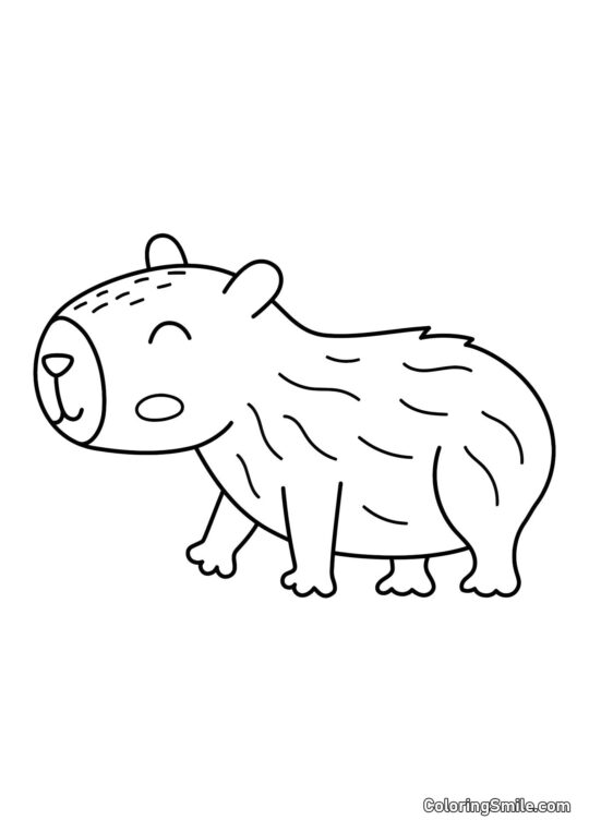 Capivara para Crianças - Página para Colorir