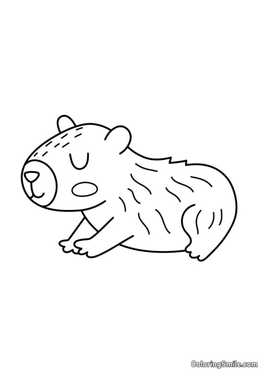 Capivara Simples para Crianças - Página para Colorir