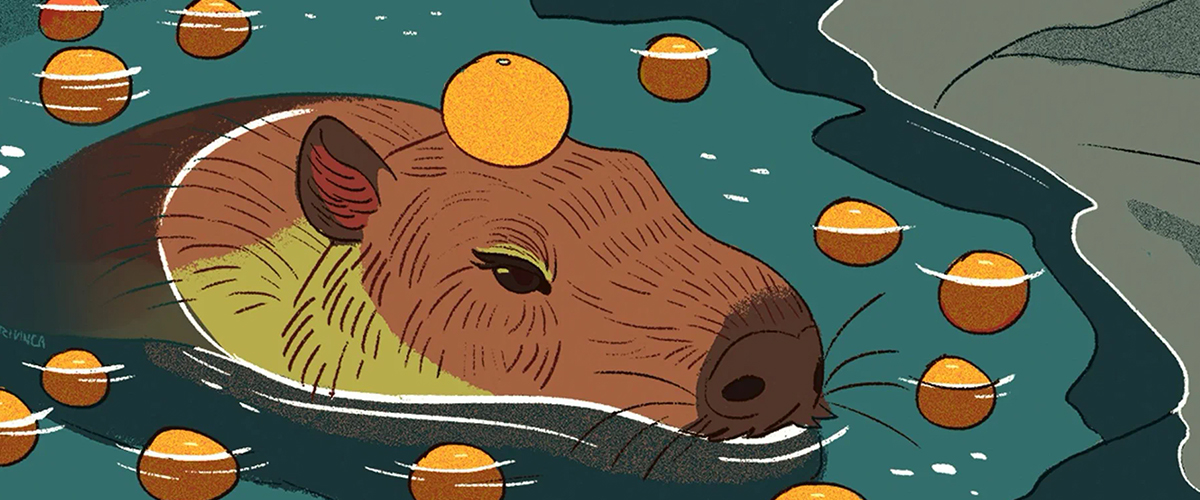 Desenhos de Capivara para colorir
