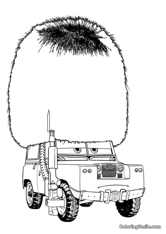 Carro com um chapéu engraçado - Página para Colorir